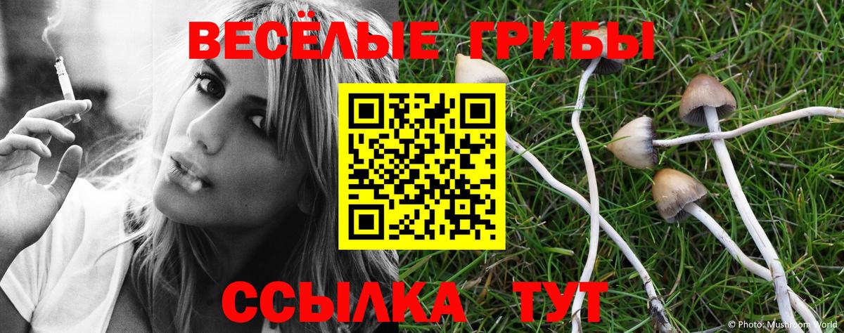 Галлюциногенные грибы Psilocybine cubensis  дарнет шоп  Касимов  Вход с VPN 