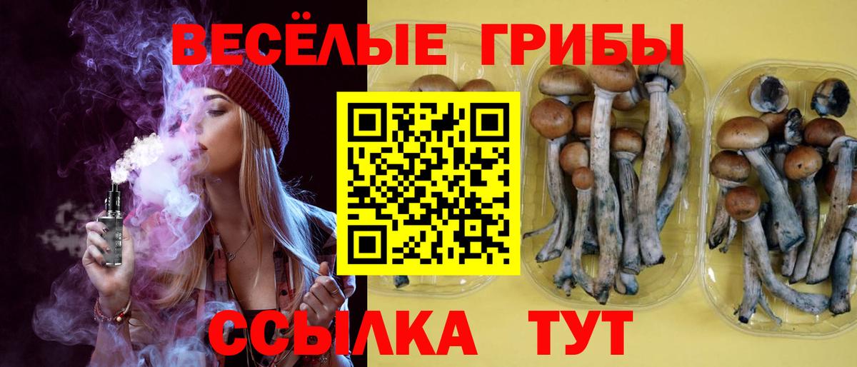 Псилоцибиновые грибы Cubensis Касимов